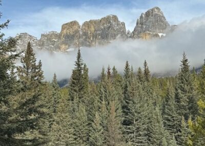 Always Peak Powder Club0A colorado mountain forests