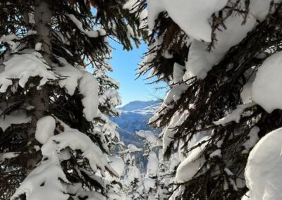 Always Peak Powder Club0A picturesque winter mountain vistas