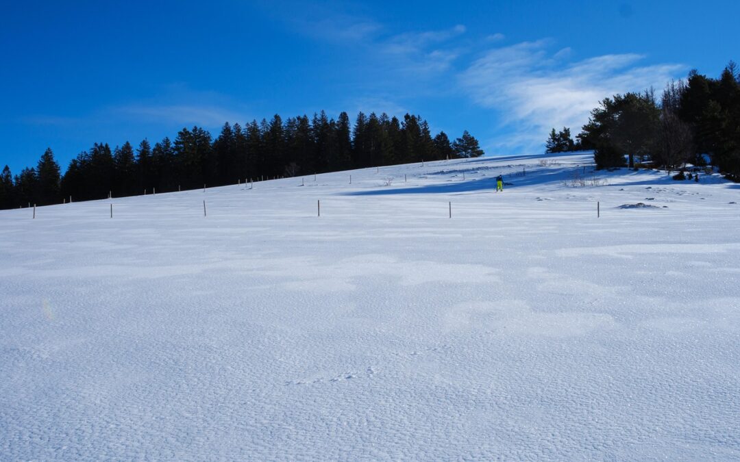 Coast Guard Best Snowshoeing Trails Near Me: Brave The Blizzard:…