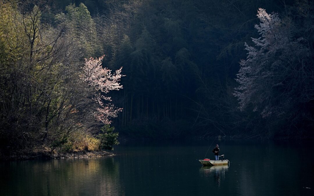 Affordable Boat Rentals » Dive Into Adventure: Finding Affordable Boat…