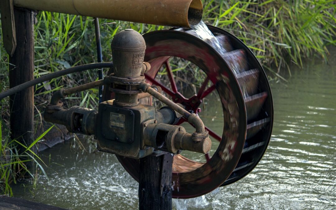 Thrilling Rapids / “`html When The River Roared: My Story…