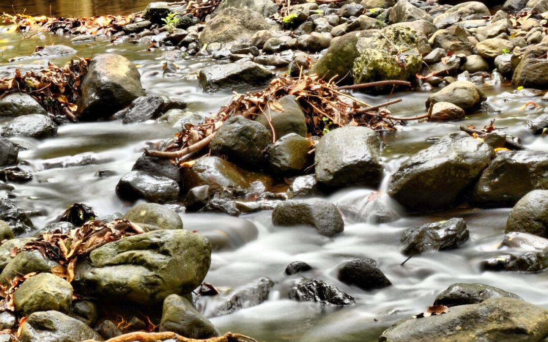 Whitewater Rafting | To Ensure Proper Semantic HTML5 Structure, The…