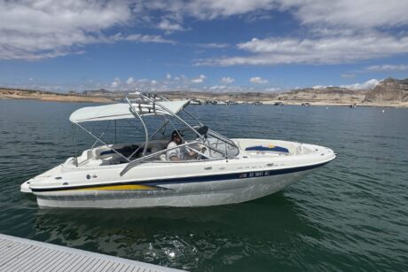 Bayliner Upgraded 10 Passenger