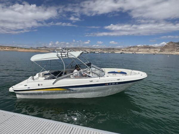 Bayliner Upgraded 10 Passenger