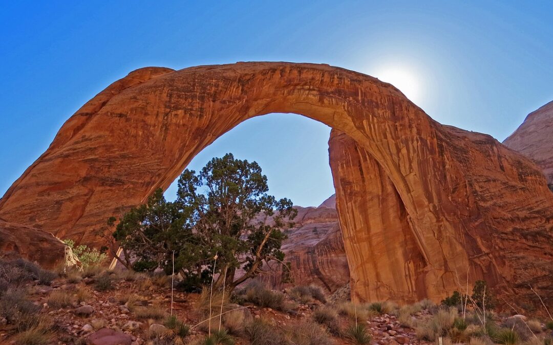 Lake Powell Boat Rental ~ “`html Anchor Your Anxieties: How…