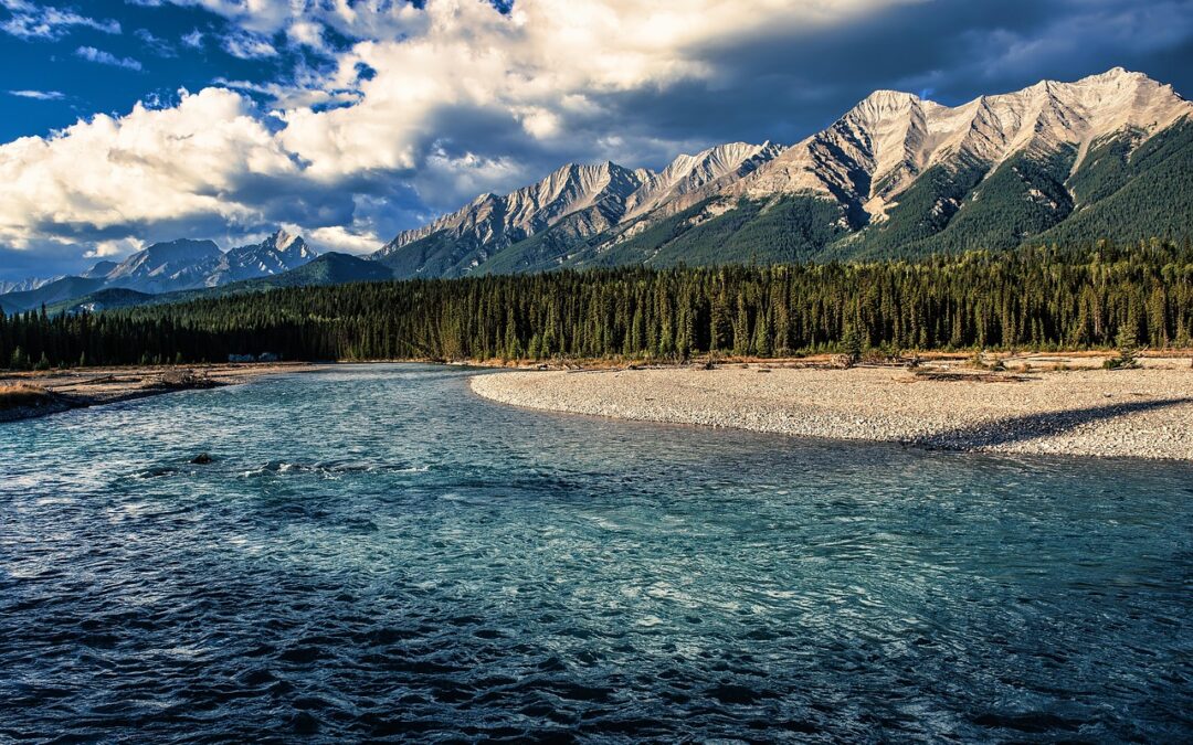 River Wildlife Sightings / “`html Paddle Into Wonder: Uncovering River…