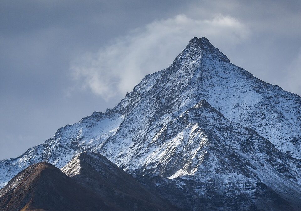 Wilderness Exploration | Here Is The Article, Formatted With Markdown…