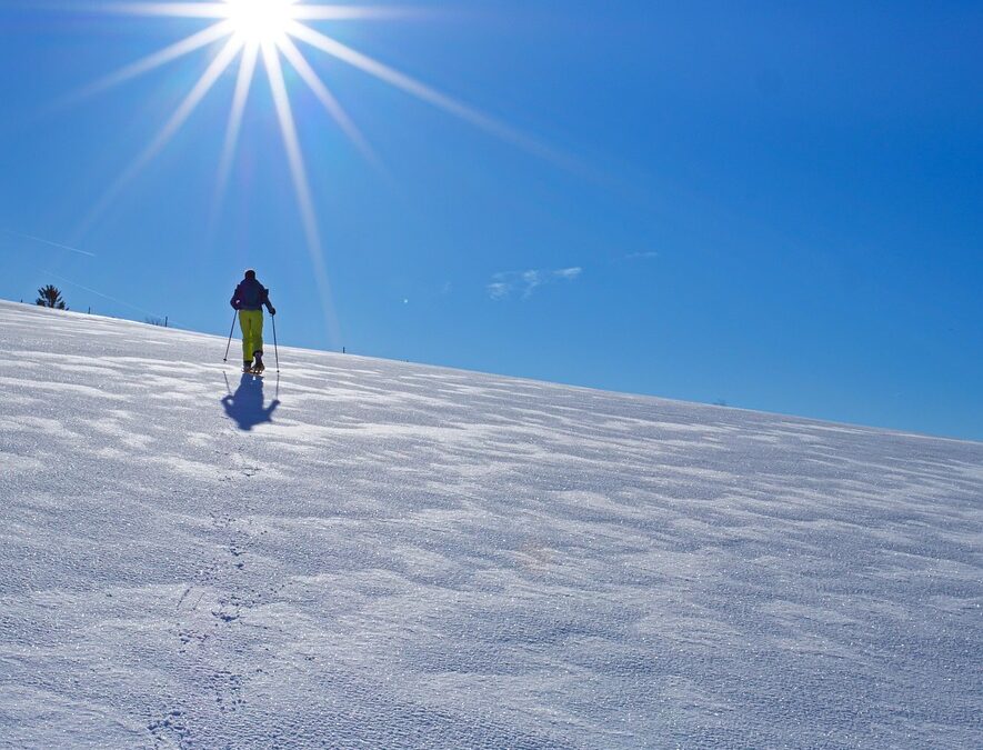 Army Best Snowshoeing Trails Near Me ~ “`html Gear Up,…