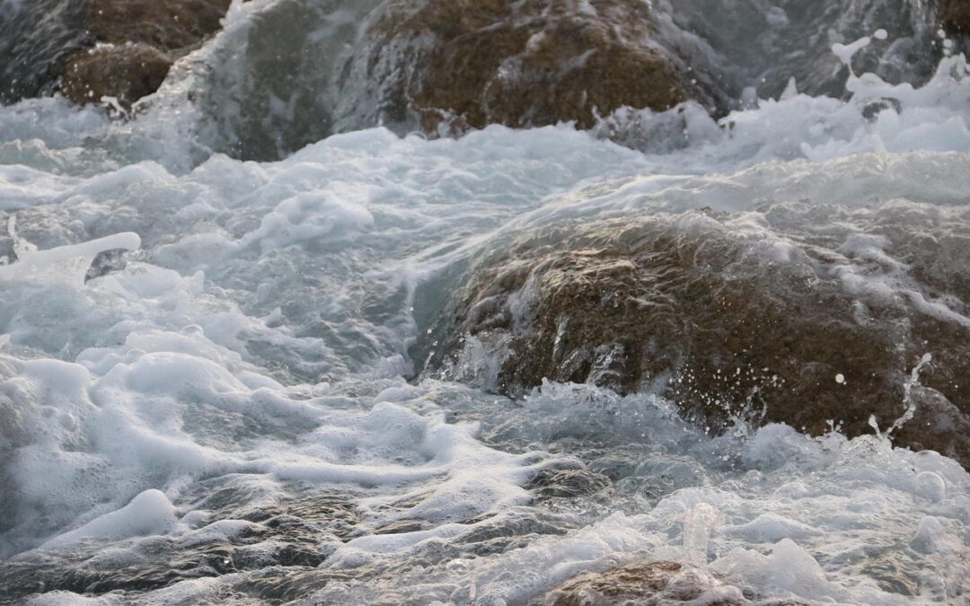 Coastal Fishing Charters – “`html Cast Away Your Worries: Your…
