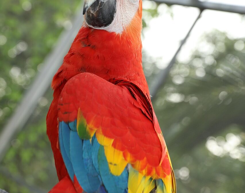 🌊 Lake Powell Waverunner Rentals – Long-Tail Keywords » Get…