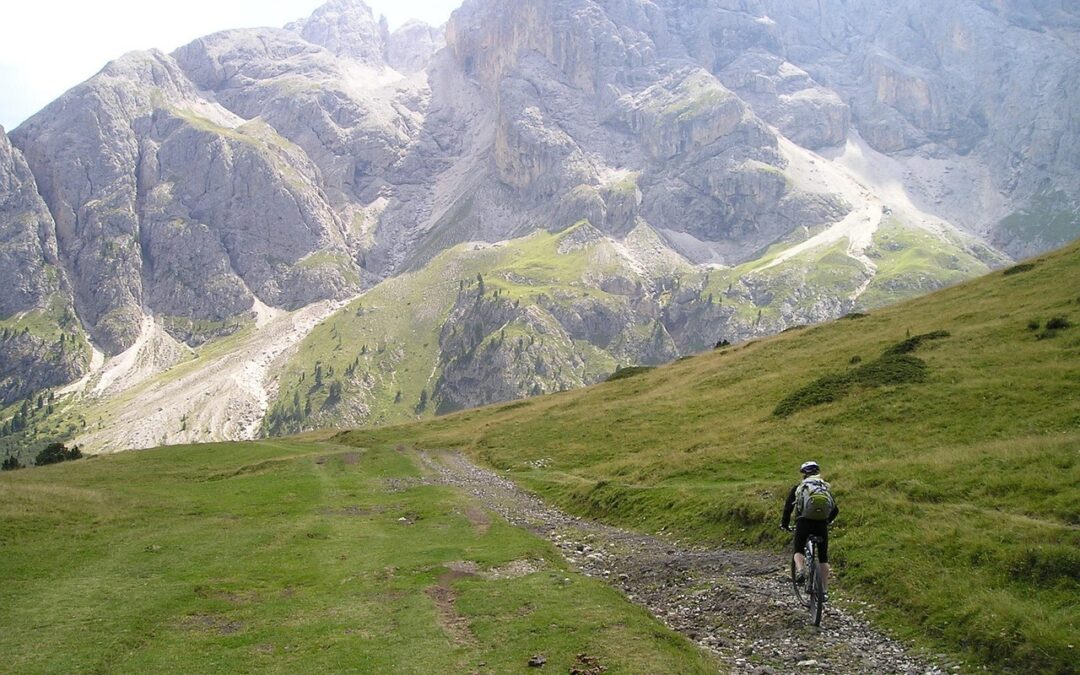 FREE Mountain Powdercat Tours For Military – “`html Quick Peek:…