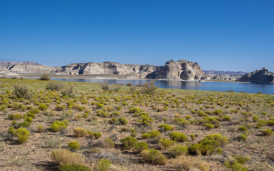 Houseboat Rental Lake Powell ~ Quick Dip: What This Story…