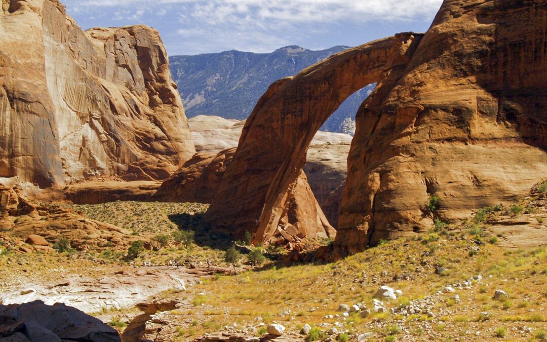 Lake Powell Waverunner Rental With Towable Tube Option – “`html…