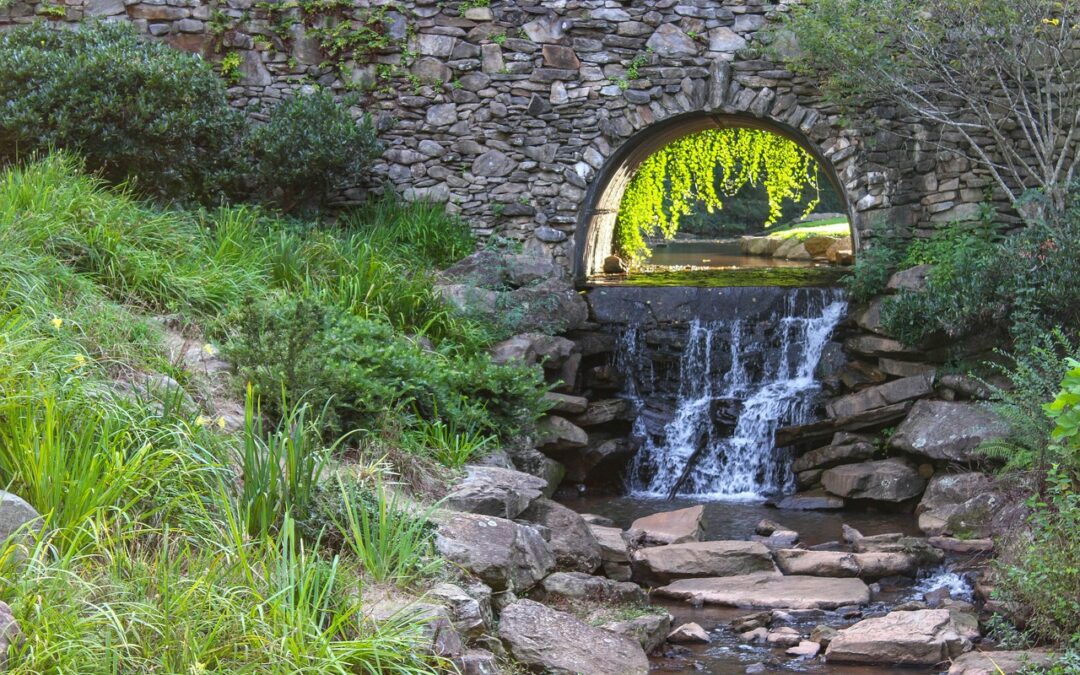 Whitewater Rafting | Making Waves: Remembering Our Most Epic Whitewater…