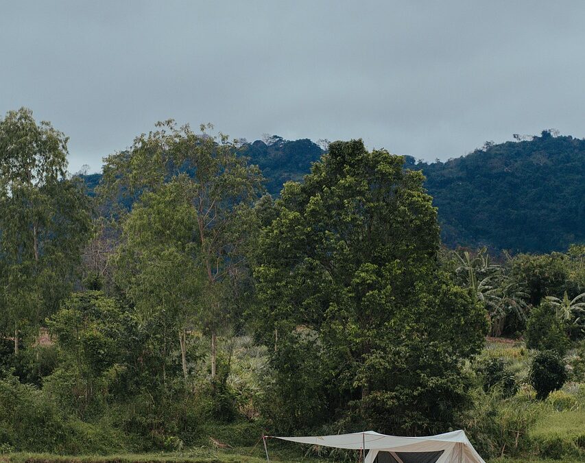 Army Winter Camping Gear For Families: “`html Chill Out &…