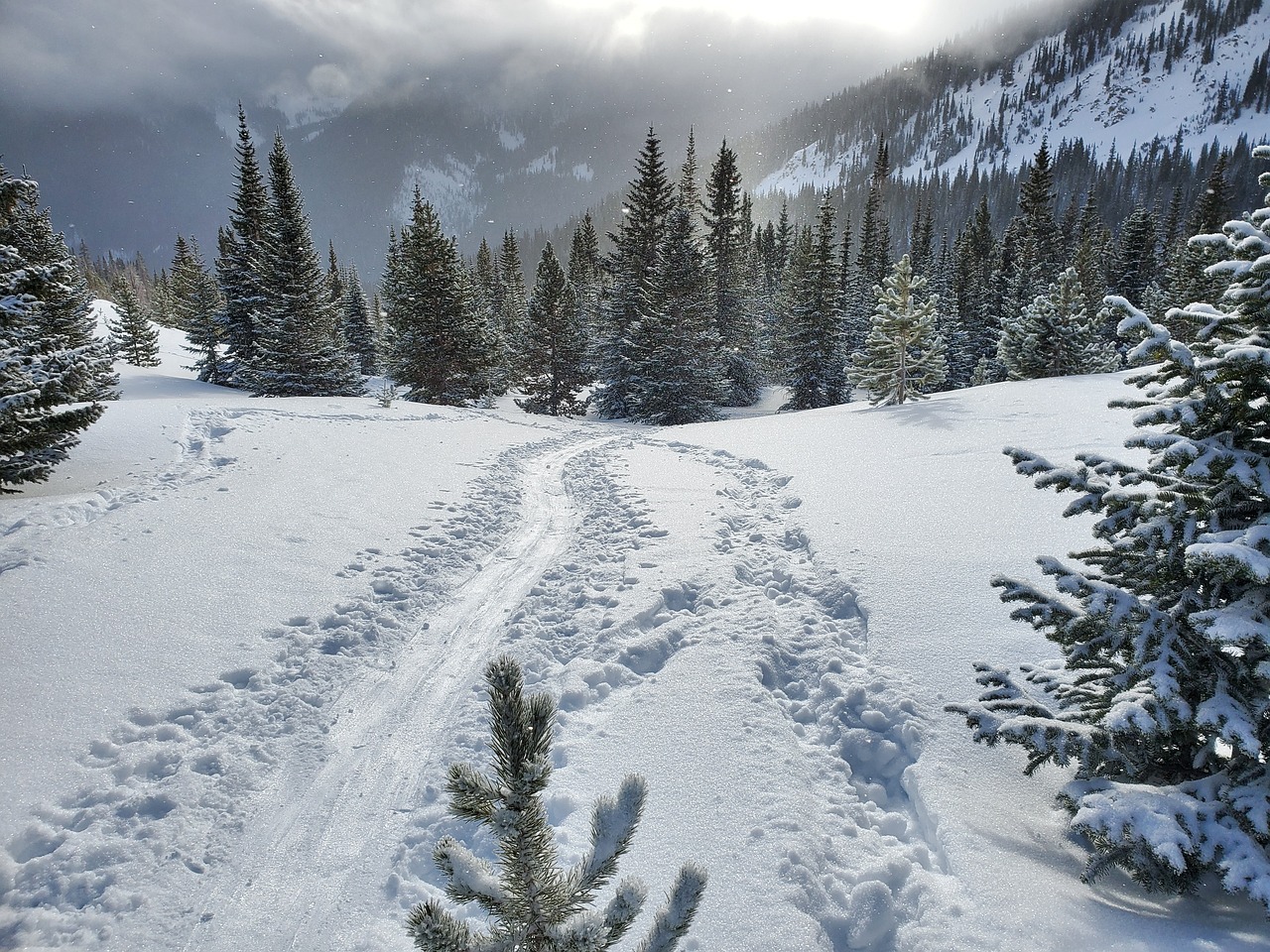 Colorado Snowmobile Rentals